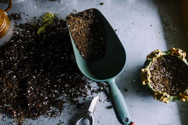 Service de jardinage et aménagement paysager